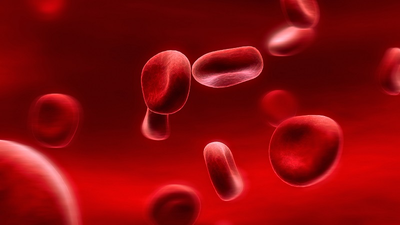 Vårt blod utgjør omtrent 7-8% av kroppsvekten.