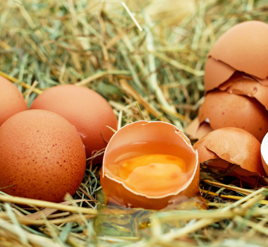 Er for mye egg fortsatt «nei-mat» for dem som har litt for høye kolesterolverdier i blodet?
