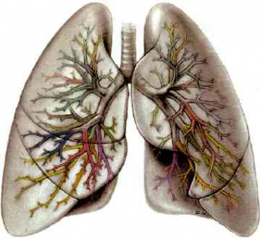 Luftveissykdommer
